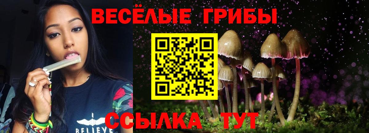 Галлюциногенные грибы мухоморы  Вход с VPN  Заинск  Галлюциногенные грибы мицелий 